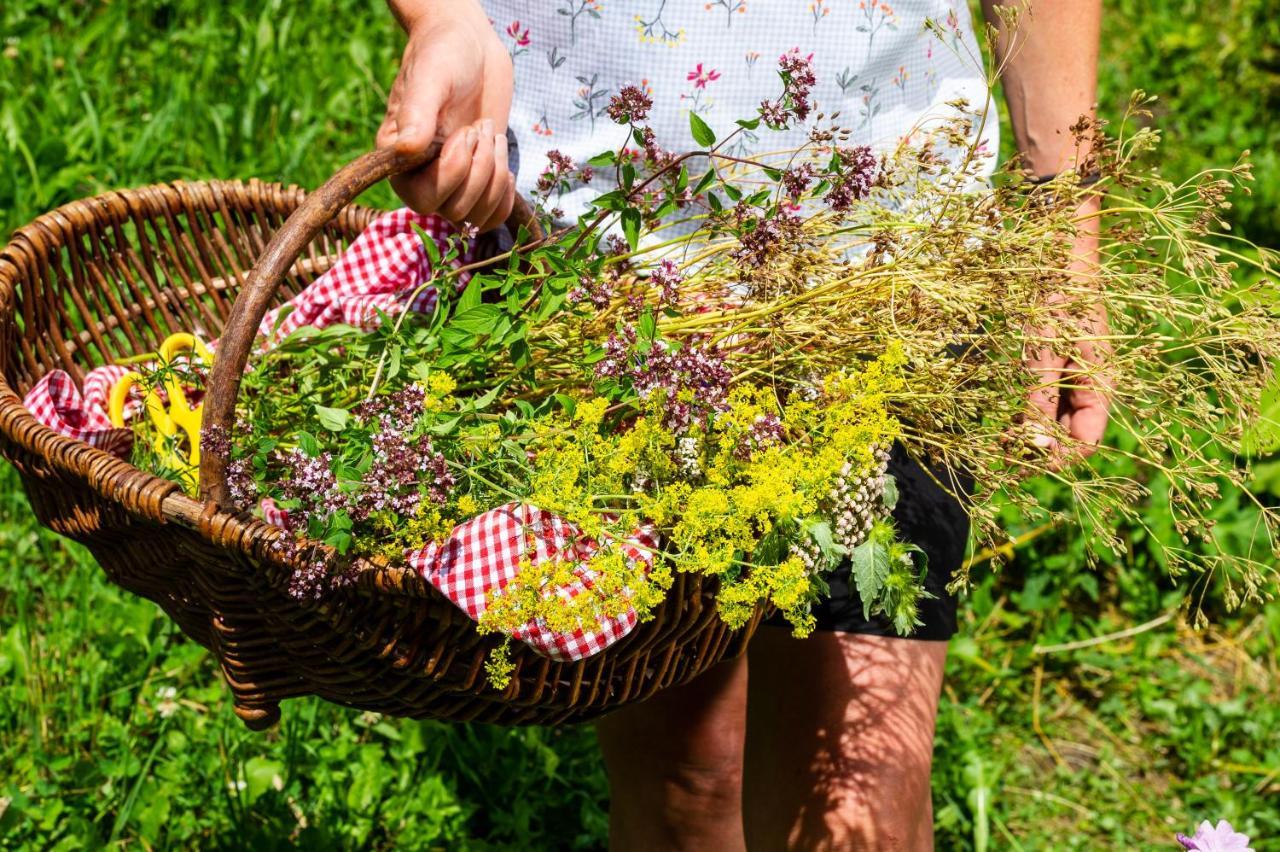 Heimat - Das Natur Resort Prägraten エクステリア 写真